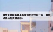 国外免费服务器永久使用的软件叫什么（国外好用的免费服务器）