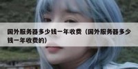 国外服务器多少钱一年收费（国外服务器多少钱一年收费的）