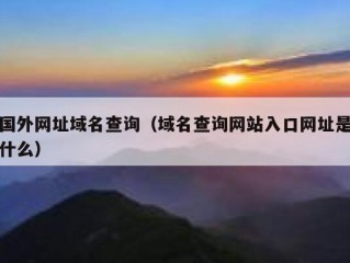 国外网址域名查询（域名查询网站入口网址是什么）