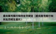重庆限号限行如何处罚规定（重庆限号限行如何处罚规定图片）