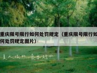 重庆限号限行如何处罚规定（重庆限号限行如何处罚规定图片）