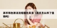 派币钱包激活流程图片高清（派币怎么样了值钱吗）
