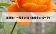 推特推广一般多少钱（推特多少钱一个）