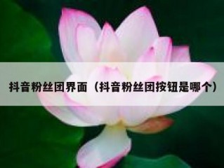 抖音粉丝团界面（抖音粉丝团按钮是哪个）