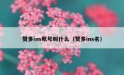 赞多ins账号叫什么（赞多ins名）