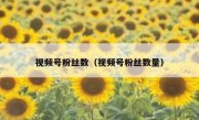 视频号粉丝数（视频号粉丝数量）