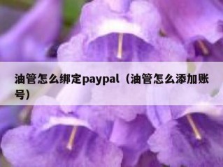 油管怎么绑定paypal（油管怎么添加账号）