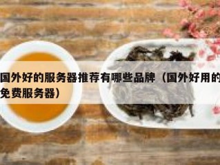 国外好的服务器推荐有哪些品牌（国外好用的免费服务器）