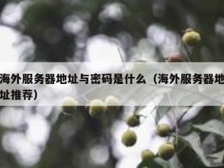 海外服务器地址与密码是什么（海外服务器地址推荐）