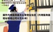 国外代理服务器怎么查地址信息（代理服务器地址和端口可以怎么填）