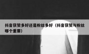 抖音获赞多好还是粉丝多好（抖音获赞与粉丝哪个重要）