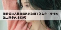 推特关注人数提示达到上限了怎么办（推特关注上限多久才能好）