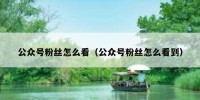 公众号粉丝怎么看（公众号粉丝怎么看到）