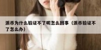 派币为什么验证不了呢怎么回事（派币验证不了怎么办）