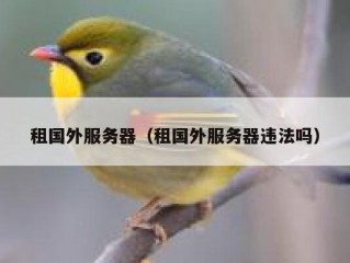 租国外服务器（租国外服务器违法吗）
