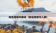 微信视频号群体（微信视频号人群）