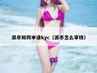 派币如何申请kyc（派币怎么审核）