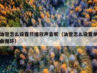 油管怎么设置只播放声音呢（油管怎么设置单曲循环）