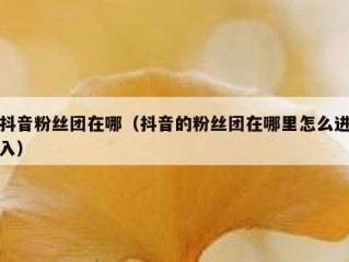 抖音粉丝团在哪（抖音的粉丝团在哪里怎么进入）