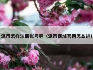 派币怎样注册账号啊（派币商城官网怎么进）