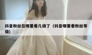 抖音粉丝在哪里看几级了（抖音哪里看粉丝等级）