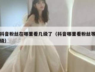 抖音粉丝在哪里看几级了（抖音哪里看粉丝等级）