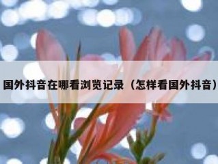 国外抖音在哪看浏览记录（怎样看国外抖音）