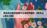 派币的注册流程是什么样的啊图片（派币app怎么注册）