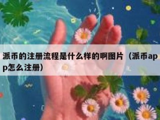 派币的注册流程是什么样的啊图片（派币app怎么注册）