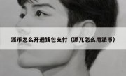 派币怎么开通钱包支付（派兀怎么用派币）