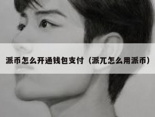 派币怎么开通钱包支付（派兀怎么用派币）