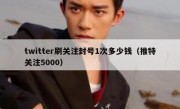 twitter刷关注封号1次多少钱（推特关注5000）