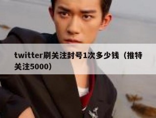twitter刷关注封号1次多少钱（推特关注5000）