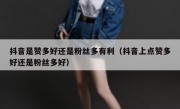 抖音是赞多好还是粉丝多有利（抖音上点赞多好还是粉丝多好）