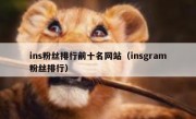 ins粉丝排行前十名网站（insgram粉丝排行）