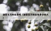 油管百万粉丝多吗（油管百万粉丝有多少收入）