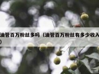 油管百万粉丝多吗（油管百万粉丝有多少收入）