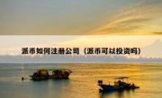 派币如何注册公司（派币可以投资吗）