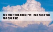 抖音粉丝在哪里看几级了啊（抖音怎么看粉丝等级在哪里看）