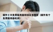 国外十大免费服务器和域名有哪些（国外有个免费服务器机房）