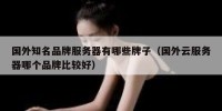 国外知名品牌服务器有哪些牌子（国外云服务器哪个品牌比较好）