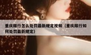 重庆限行怎么处罚最新规定视频（重庆限行如何处罚最新规定）