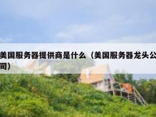 美国服务器提供商是什么（美国服务器龙头公司）