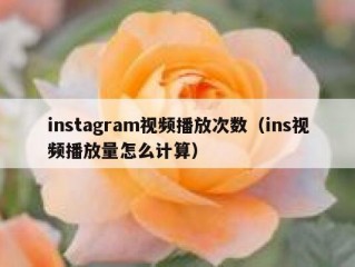 instagram视频播放次数（ins视频播放量怎么计算）