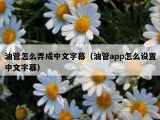 油管怎么弄成中文字幕（油管app怎么设置中文字幕）