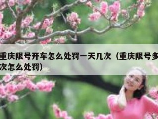 重庆限号开车怎么处罚一天几次（重庆限号多次怎么处罚）