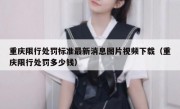 重庆限行处罚标准最新消息图片视频下载（重庆限行处罚多少钱）