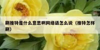 刷推特是什么意思啊网络语怎么说（推特怎样刷）
