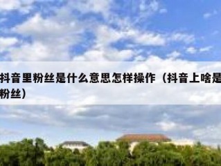 抖音里粉丝是什么意思怎样操作（抖音上啥是粉丝）