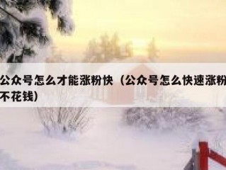 公众号怎么才能涨粉快（公众号怎么快速涨粉不花钱）